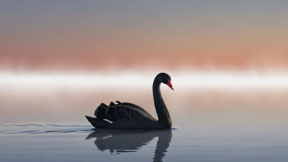 Ilustración conceptual de El cisne negro